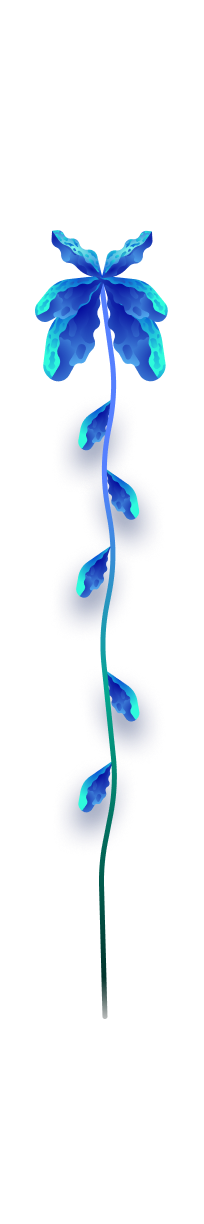 Highbloom