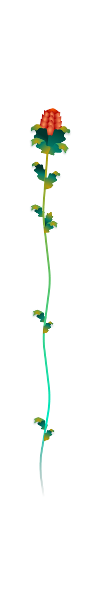 Mossmantle