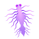 Prismdrift