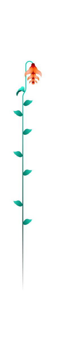 Softspire