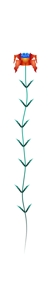 Sunpetal
